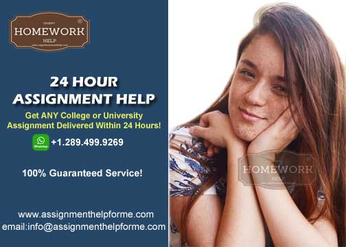 24 Hours Assignment Help