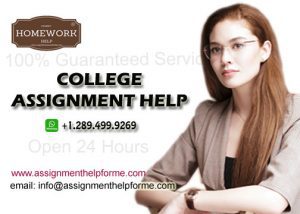 College Assignment Help Online