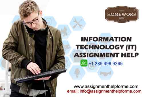 Information Technology Assignment Help Online