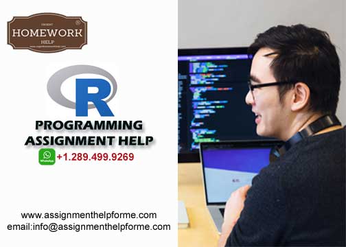 R Programming Assignment Help Online