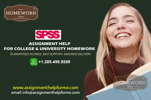 SPSS Assignment Help Online